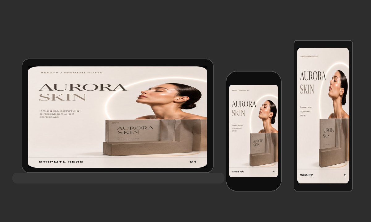 Aurora Skin на носителях